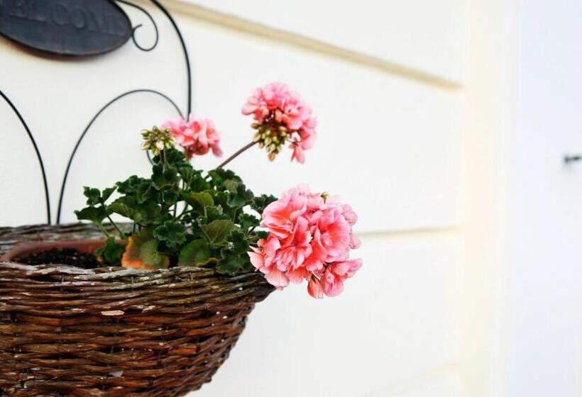 住宿加早餐  Casa Gallasso