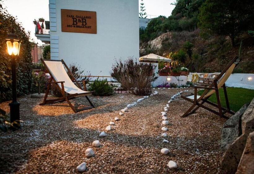 住宿加早餐  Casa Gallasso