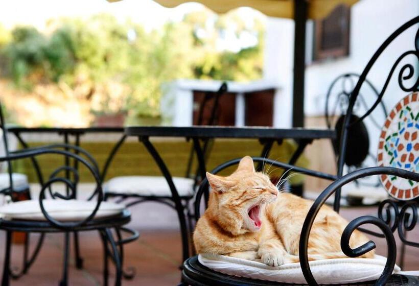 住宿加早餐  Casa Gallasso