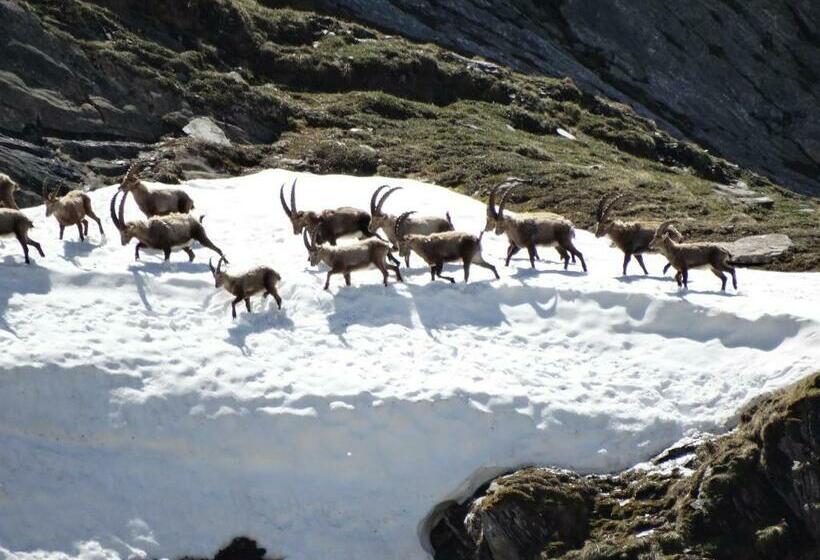 צימר Chez Laurette Et Louis