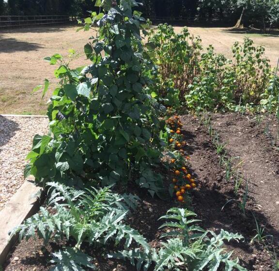 צימר Field End House Strawberry Lane Meysey Hampton