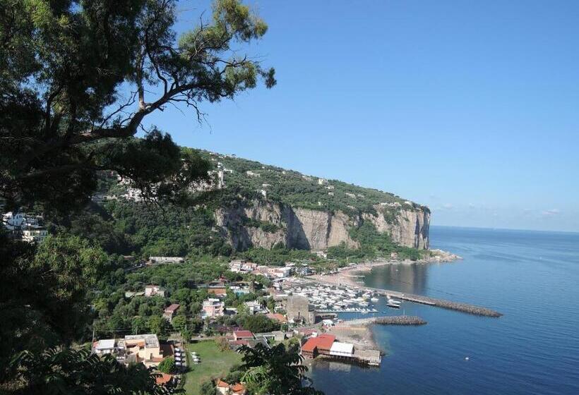 צימר La Casa Nel Cortile