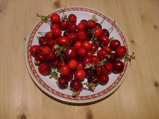 Bed and Breakfast La Pantoufle Verte