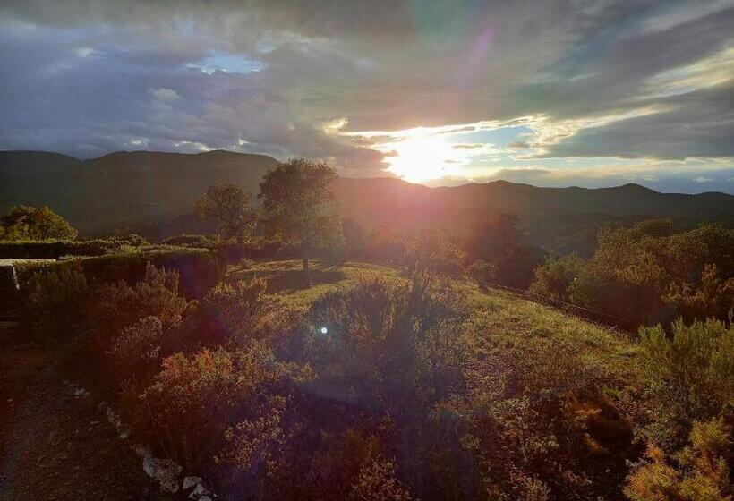 Bed and Breakfast La Pantoufle Verte