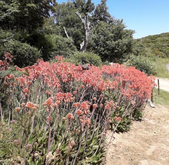 Bed and Breakfast La Pantoufle Verte