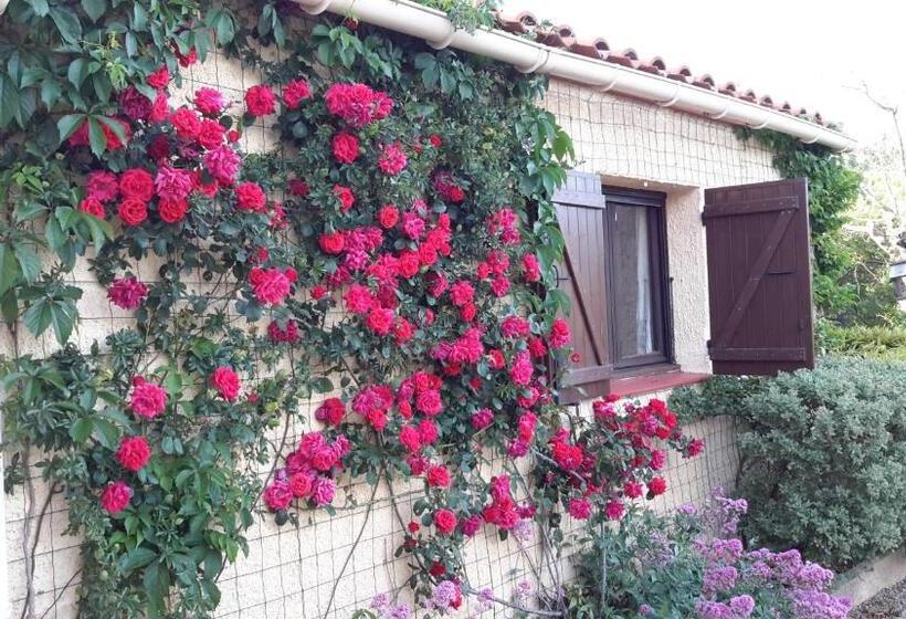 Bed and Breakfast La Pantoufle Verte