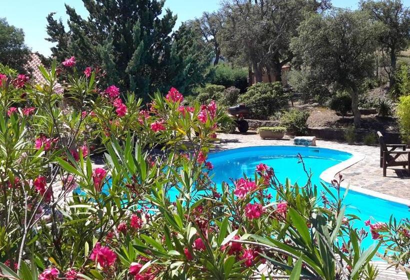 Bed and Breakfast La Pantoufle Verte