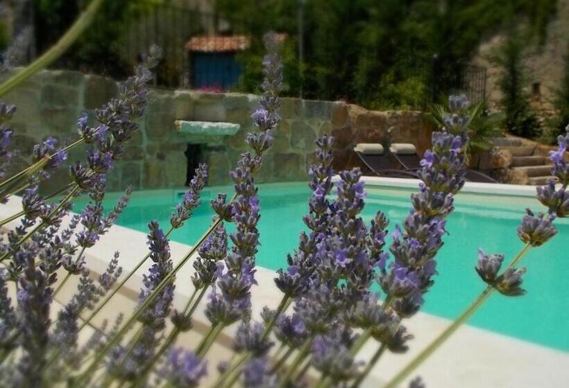 住宿加早餐  Le Mas Des Monèdes