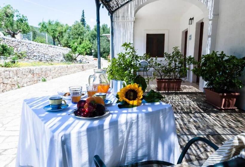 تختخواب و صبحانه Masseria Pozzo Di Luce