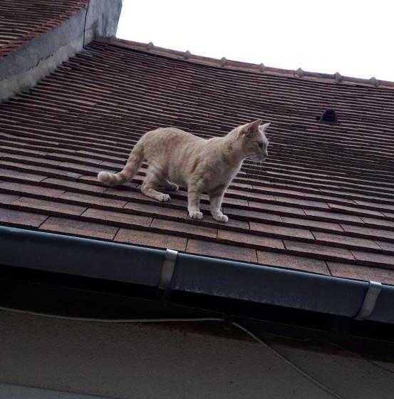 Bed and Breakfast Valérie Gouffé