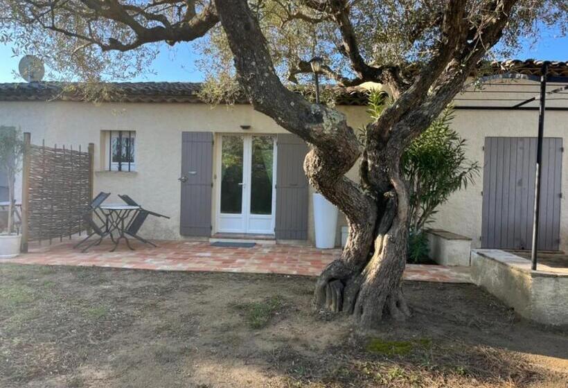 Bed and Breakfast Villa Made