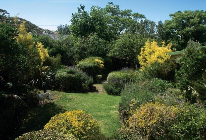 مبيت وإفطار Villa Pascal Guest House