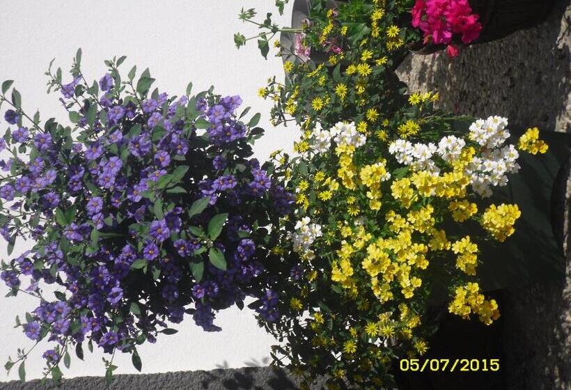 تختخواب و صبحانه Vorderwiesgut