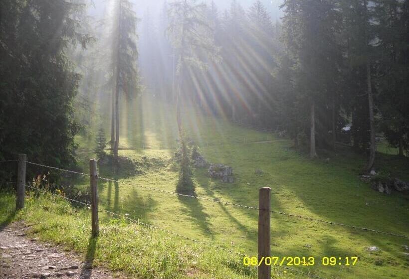 تختخواب و صبحانه Vorderwiesgut