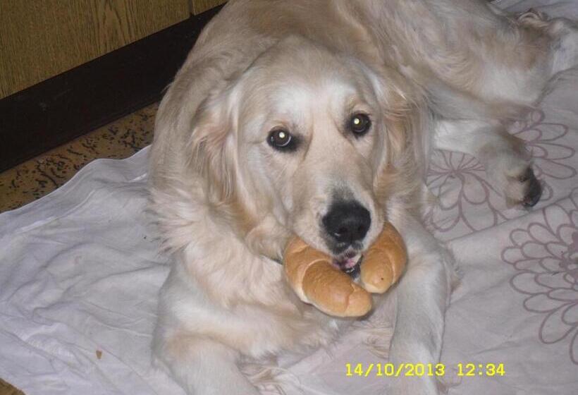 تختخواب و صبحانه Vorderwiesgut