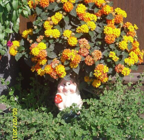 تختخواب و صبحانه Vorderwiesgut