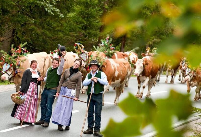 تختخواب و صبحانه Vorderwiesgut