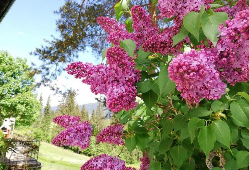 تختخواب و صبحانه Vorderwiesgut