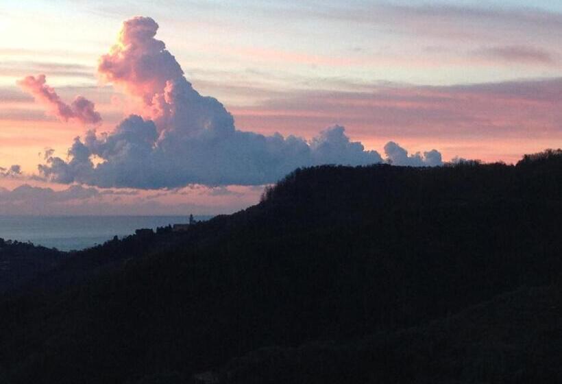 בית מלון כפרי Agriturismo Olivarancio