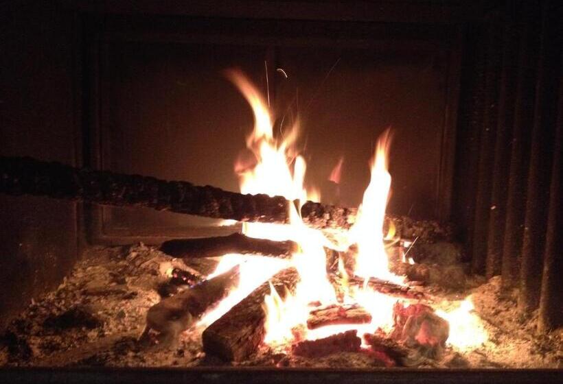 בית מלון כפרי Agriturismo Olivarancio