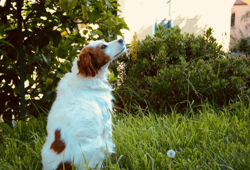 فندق Agriturismo San Michele Di Danio Giovanni