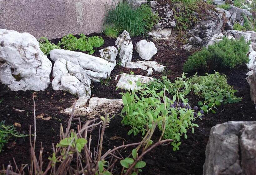 ホテル Bio Bauernhof Kurzeck