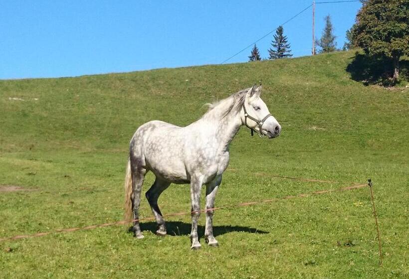 ホテル Bio Bauernhof Kurzeck