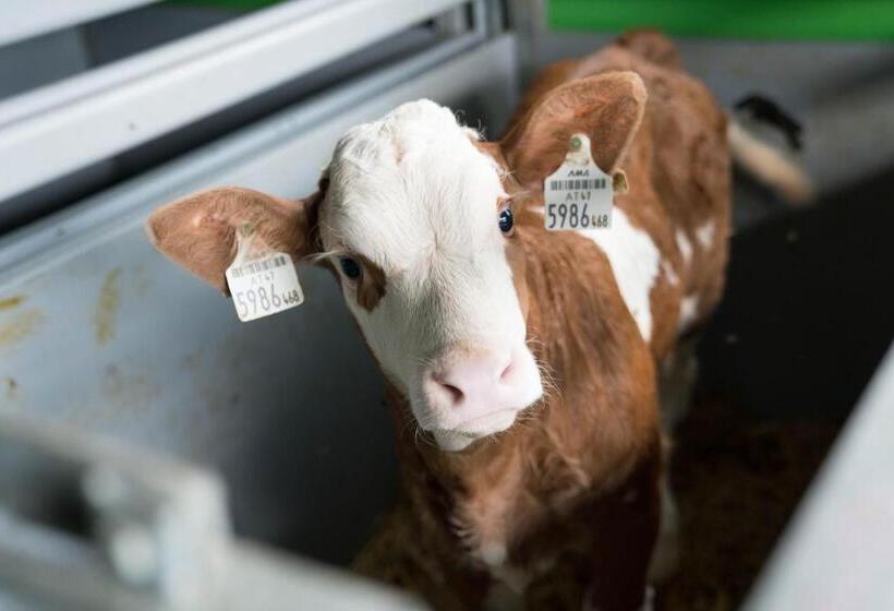 Отель Bio Bauernhof Schweizerhof