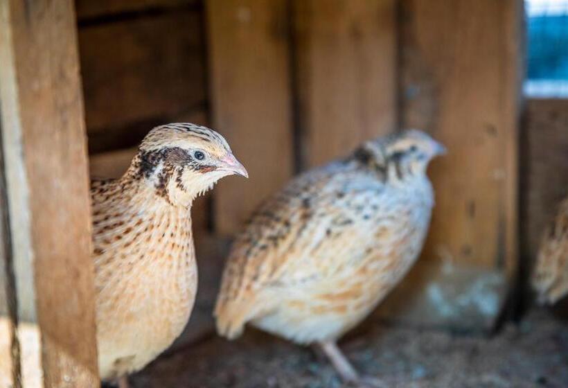 Отель Bio Bauernhof Schweizerhof