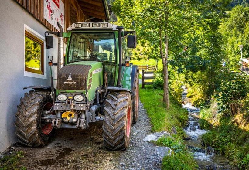 Отель Bio Bauernhof Schweizerhof