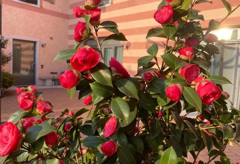 ホテル Casa San Marco