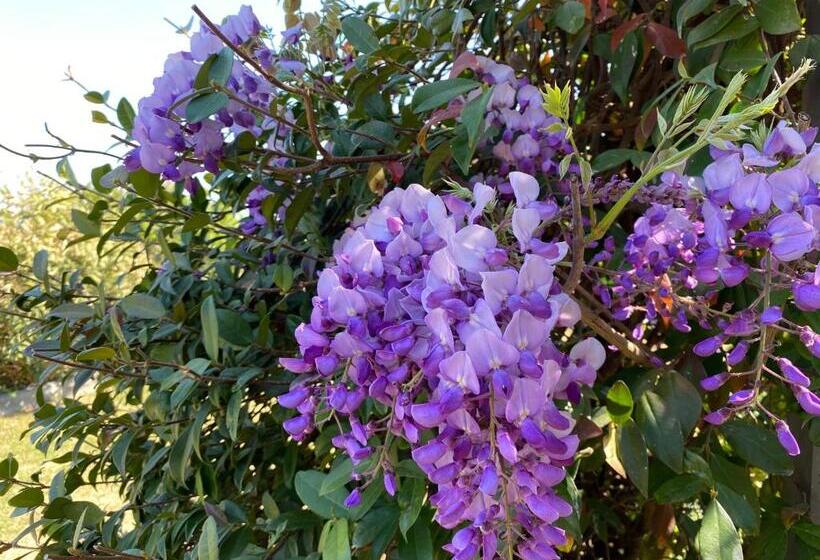 ホテル Casa San Marco