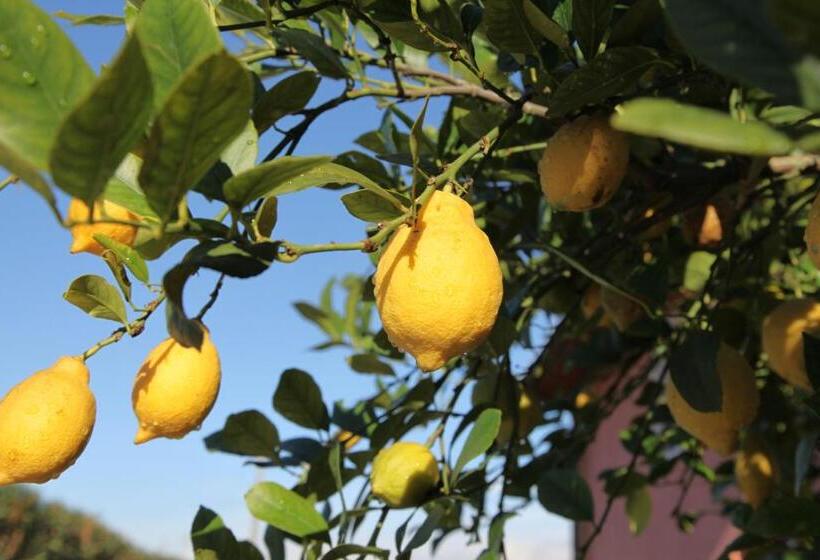 ホテル Casa San Marco