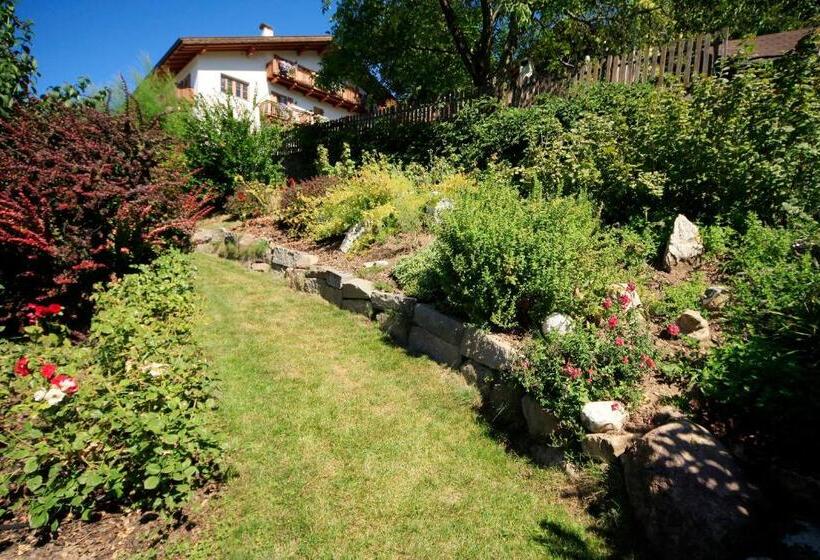 בית מלון כפרי Engadiner Apartments & Wines