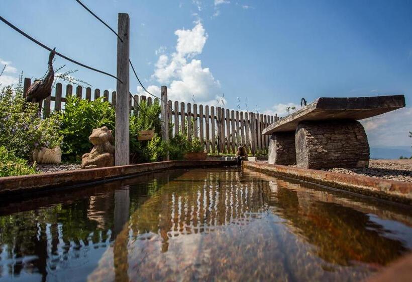 בית מלון כפרי Engadiner Apartments & Wines