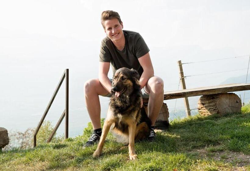 בית מלון כפרי Engadiner Apartments & Wines