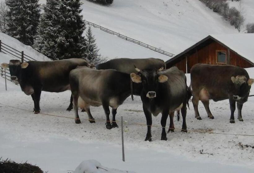 酒店 Ferienwohnung Berghof Pixner