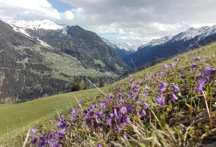 בית מלון כפרי Ferienwohnung Berghof Pixner