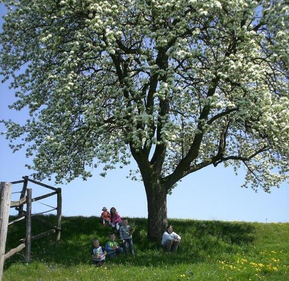 فندق Bio Bauernhof Haunschmid
