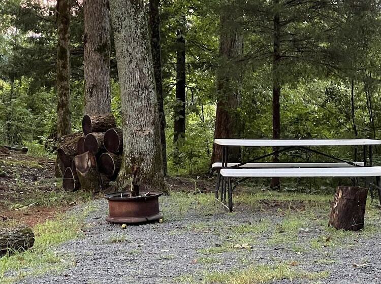 בית מלון כפרי Kozy Haven Log Cabin Rentals