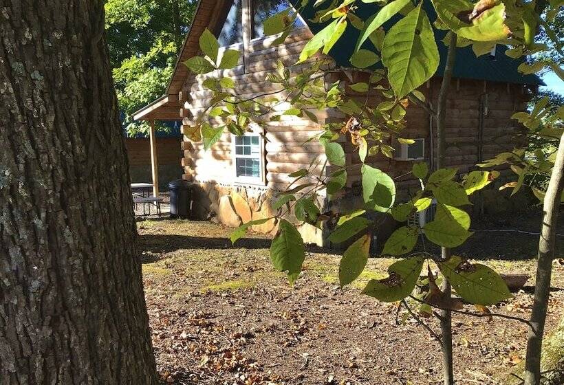 בית מלון כפרי Kozy Haven Log Cabin Rentals