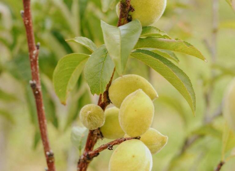 Monte Gracia Wellness Hotel & Spa Sas