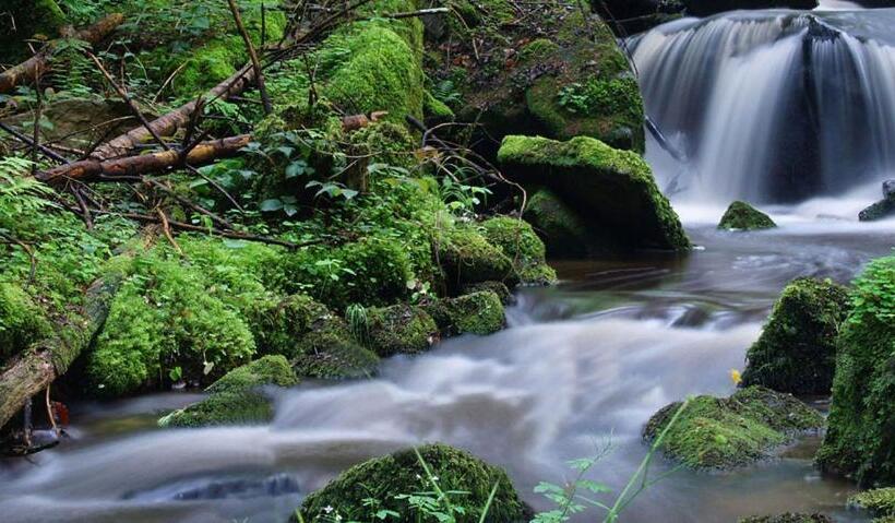 Отель Oberschupferhof