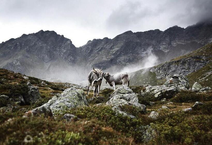 Отель Oberschupferhof