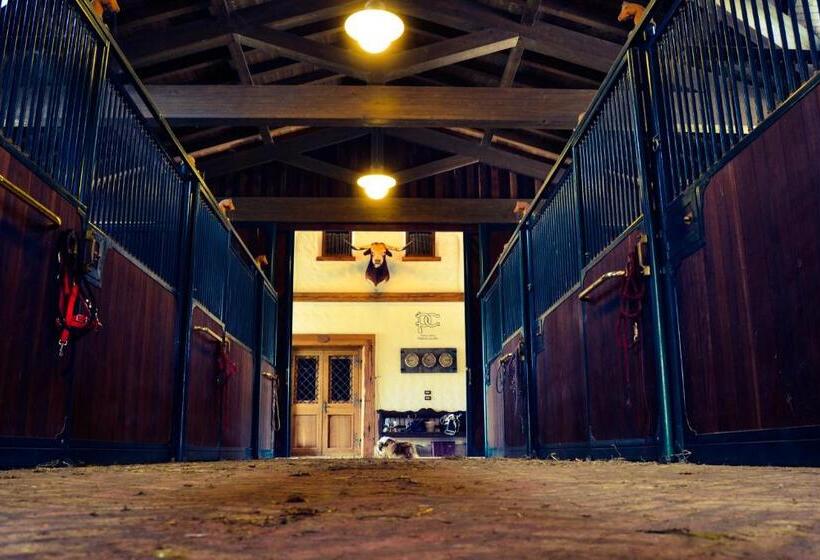 Отель Pietra Cavalla   Ranch & Resort