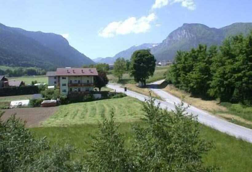 فندق Rosa Alpina