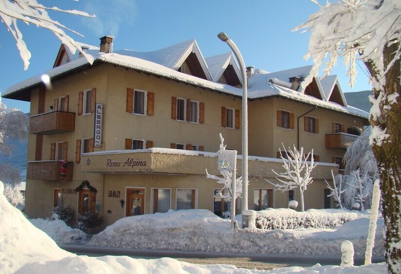 فندق Rosa Alpina
