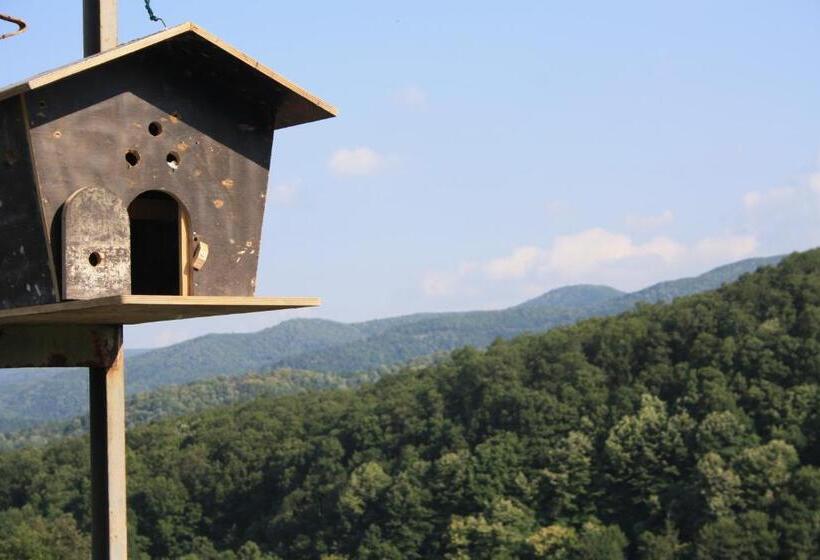 汽车旅馆 Zumrut Bahce