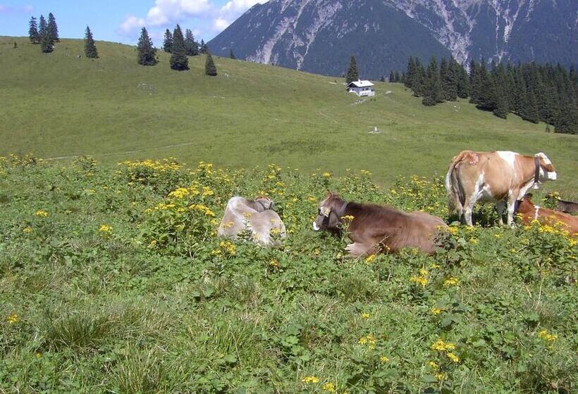 پانسیون Gintherhof