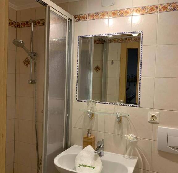 پانسیون Gintherhof